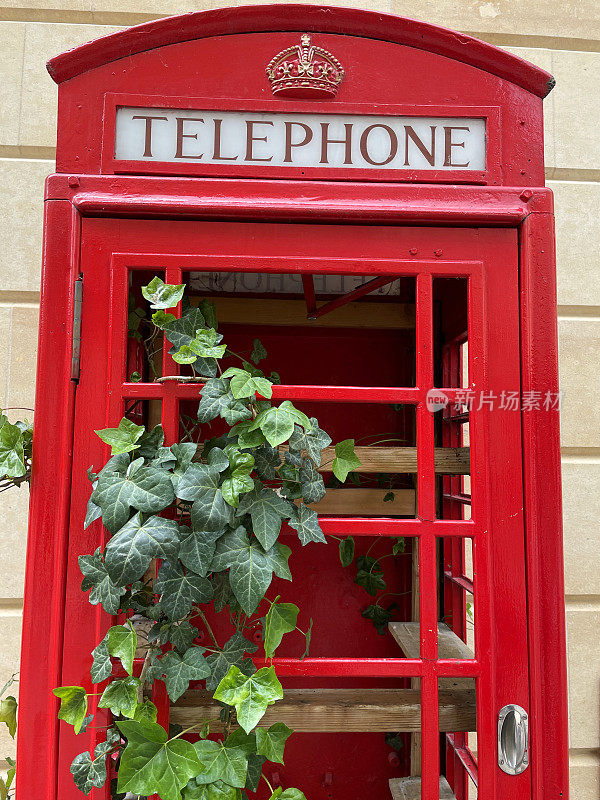 英国萨默塞特的Bath, Somerset, UK，红色电话亭与爬满常春藤的窗户盒子，升级到美化的花盆
